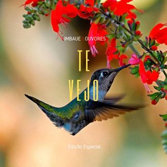 Foto da capa: Te Vejo - Versão Especial Acustico