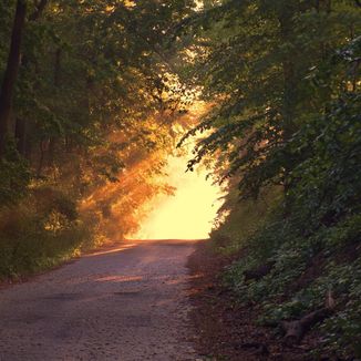 Foto da capa: CAMINHO DA LUZ