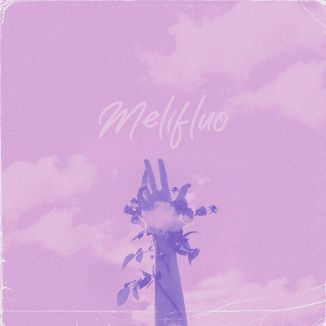 Foto da capa: Melífluo