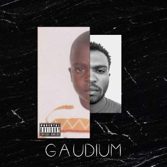 Foto da capa: GAUDIUM