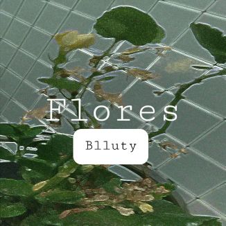 Foto da capa: Flores
