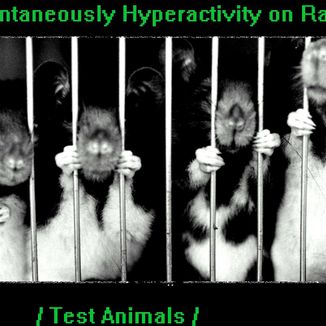 Foto da capa: Spontaneously Hyperactivity on Rats - Test Animals