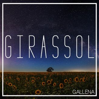 Foto da capa: Girassol