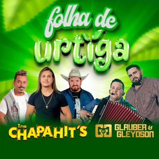 Foto da capa: Folha De Urtiga