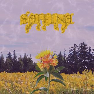 Foto da capa: Saffina
