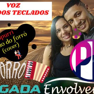 Foto da capa: POPURRI - WD DOS TECLADOS FORRÓ PEGADA ENVOLVENTE (cover) Alemão do forro