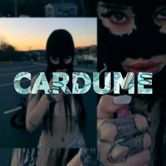 Foto da capa: Cardume