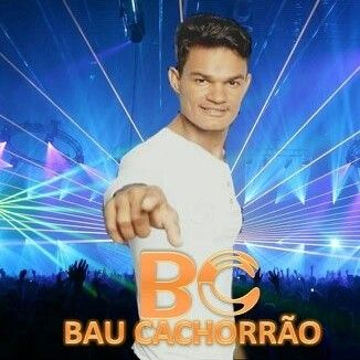 Foto da capa: BAU CACHORRÃO