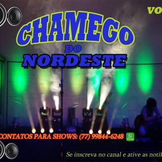 Foto da capa: CHAMEGO DO NORDESTE 2008