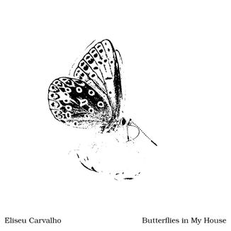 Foto da capa: Butterflies in My House