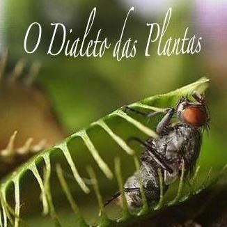 Foto da capa: O Dialeto das Plantas