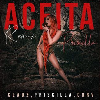 Foto da capa: Aceita Remix - Clauz, Corv, Priscilla