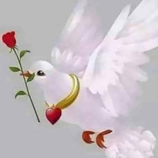 Foto da capa: É UM ENCANTO O ESPIRITO SANTO