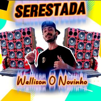 Foto da capa: Wallison Silva O Novinho Original CD Seresta Pra Paredão 3.0