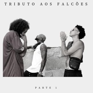 Foto da capa: Tributo aos Falcões Parte 1