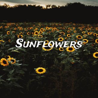 Foto da capa: Sunflowers