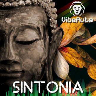 Foto da capa: Sintonia - Viberuts