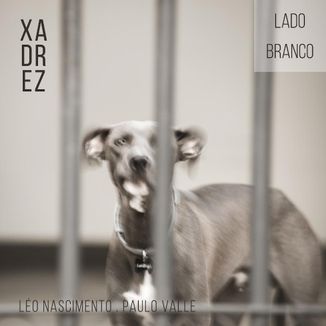 Foto da capa: Xadrez - Lado Branco