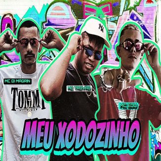 Foto da capa: Meu Xodozinho - MC Di Magrin - MC Trovão - Mc Edu