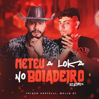 Foto da capa: Meteu a Loka no Boiadeiro (Remix)