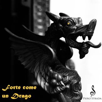 Foto da capa: Forte Come Un Drago