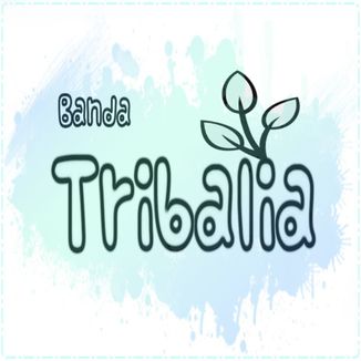 Foto da capa: Banda Tribalia - No Inicio