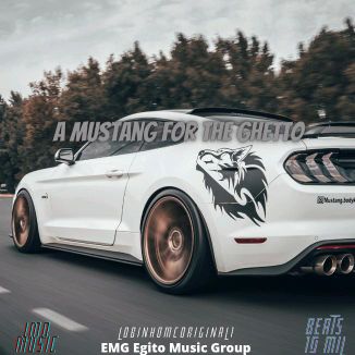 Foto da capa: A Mustang For The Guetto