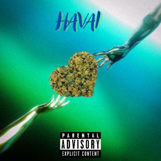 Foto da capa: Havai