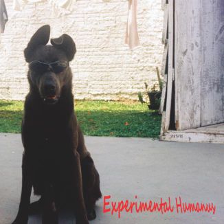 Foto da capa: Experimental Humanus