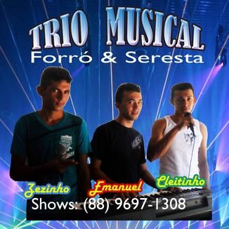 Foto da capa: show ao vivo em martinopole 31/12/2014