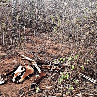 Foto da capa: O Dia Em Que A Terra Pegou Fogo