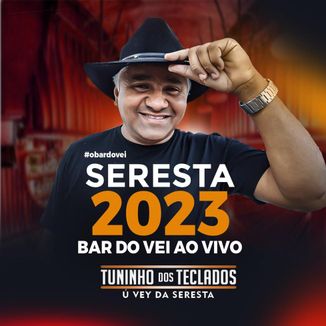 Foto da capa: SERESTA 2023 AO VIVO NO BAR -TUNINHO DOS TECLADOS O VEI DA SERESTA- (REPERTÓRIO NOVO - AGOSTO 2023)