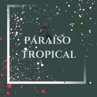 Foto da capa: Paraíso Tropical