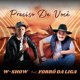 Foto da capa: Preciso De Você - feat Forró Da Liga