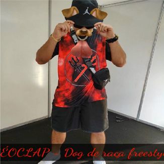 Foto da capa: Dog de raça freestyle