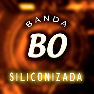 Foto da capa: SILICONIZADA