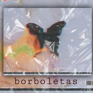 Foto da capa: Borboletas