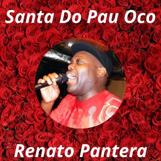 Foto da capa: Santa Do Pau Oco