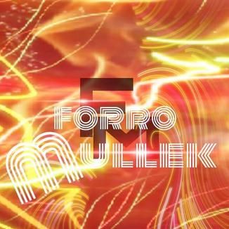 Foto da capa: Forro mullek 2015