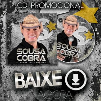 A COBRA  Discografia de LINCOLN & DUAS MEDIDAS - Palco MP3