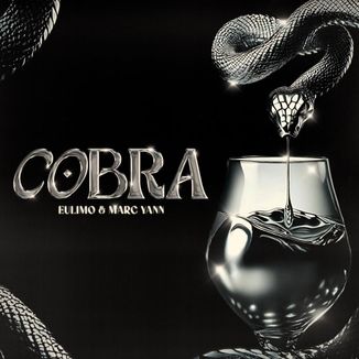 Foto da capa: Cobra