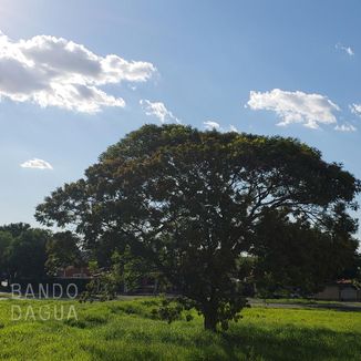 Foto da capa: Touro Estranho