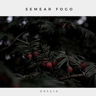 Foto da capa: Semear Fogo (ensaio)