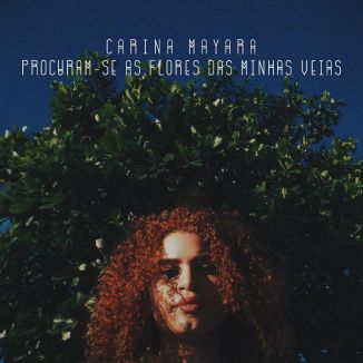 Foto da capa: Procuram-se As Flores Das Minhas Veias