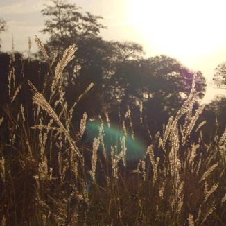 Foto da capa: Campos Elíseos