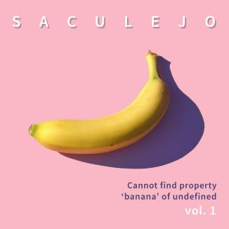 Foto da capa: Cannot find property 'banana' of undefined vol.1