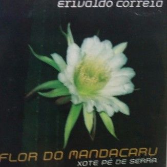 Foto da capa: Flor do Mandacarú
