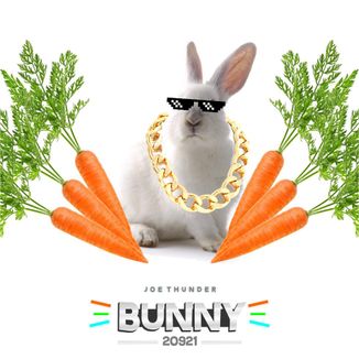 Foto da capa: Bunny (UAU)