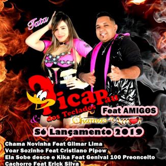 Foto da capa: Pica Pau Dos Teclados Feat Amigos 2019