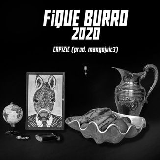 Foto da capa: FiQUE BURRO 2020